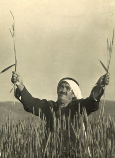 hasan-naamneh-aki
