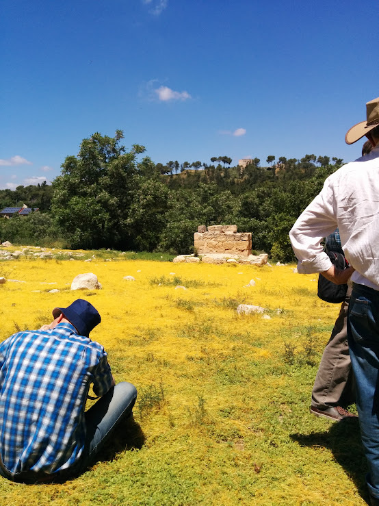 The cemetery of Saffuriyeh
