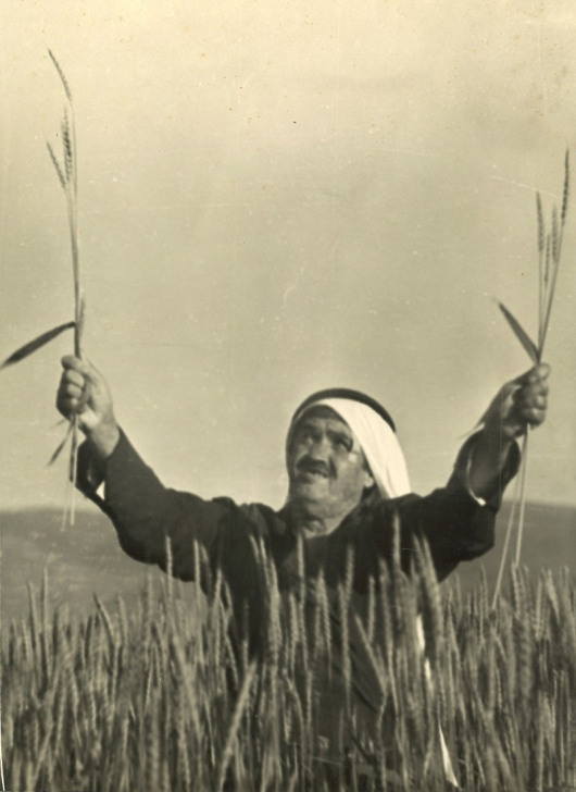 hasan-naamneh-aki