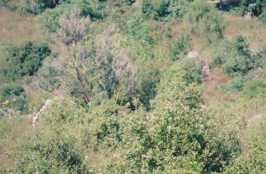 The remains of Ein Ghazal
