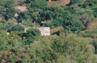 The Younes family home in the heart of the Makura farm