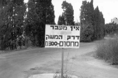 קיבוץ עין כרמל
